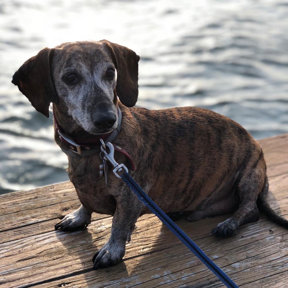 Meet your Posher, Colin